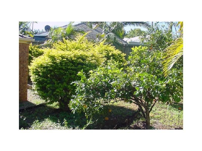 Bellmere QLD 4510