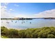 164 Burwood Rd, Concord NSW 2137