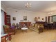 110 Newton Rd, Strathfield NSW 2135