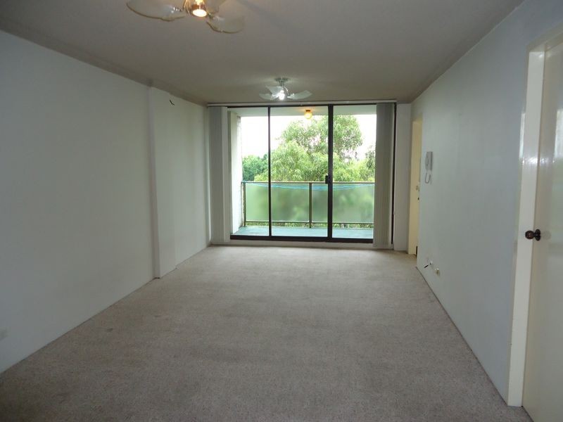 17 Everton Road, Strathfield NSW 2135