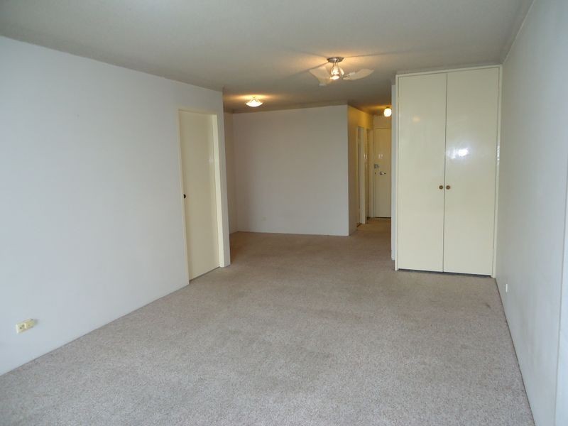 17 Everton Road, Strathfield NSW 2135