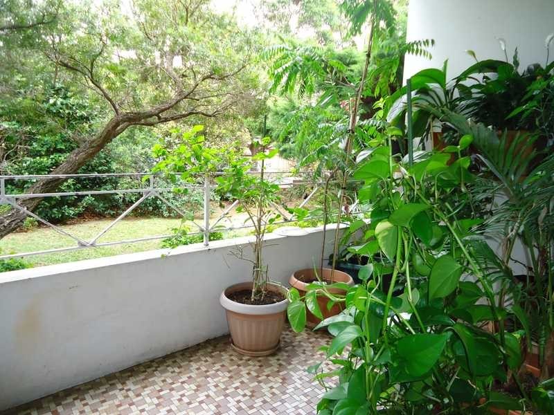 15 Burlington Road, Homebush NSW 2140