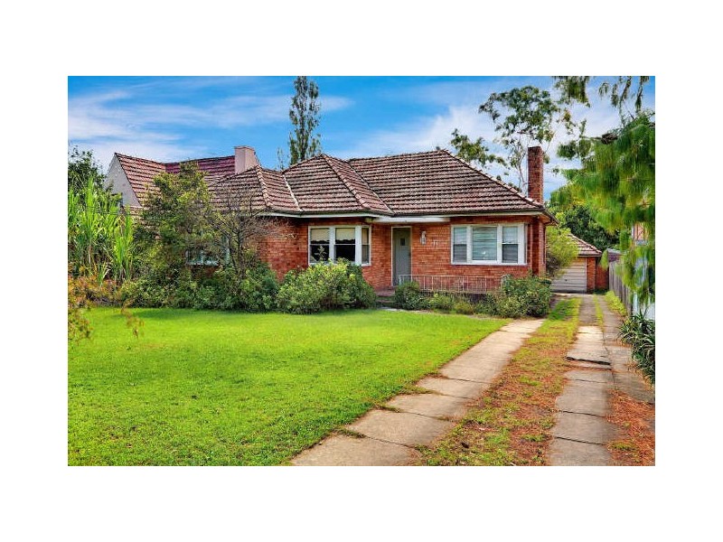 77 Albert Road, Strathfield NSW 2135