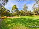 Strathfield South NSW 2136