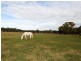 532 Sussex Inlet Road, Sussex Inlet NSW 2540