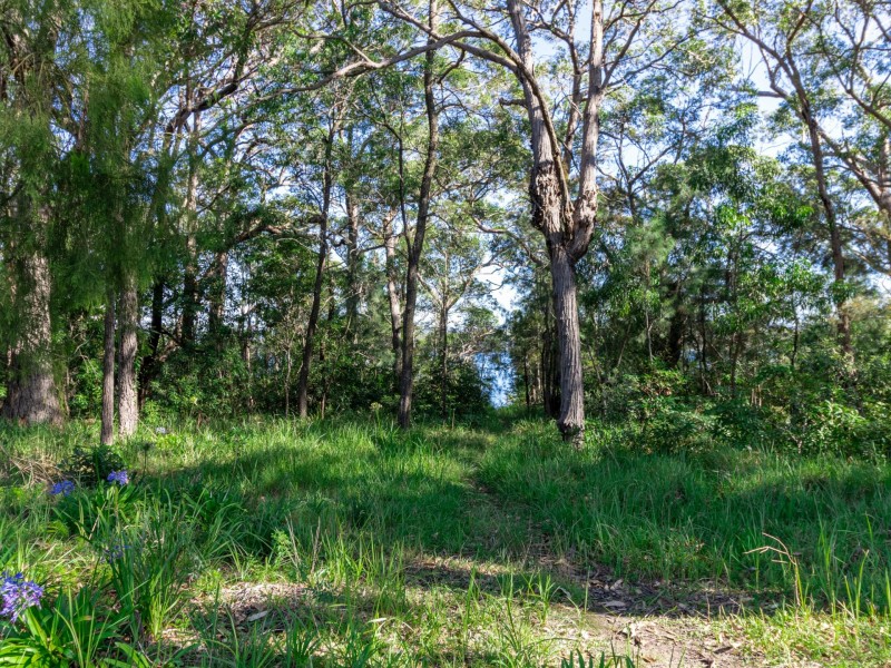 31 Lake Drive, Swanhaven NSW 2540