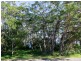 31 Lake Drive, Swanhaven NSW 2540