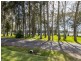 5 Fairview Crescent, Sussex Inlet NSW 2540
