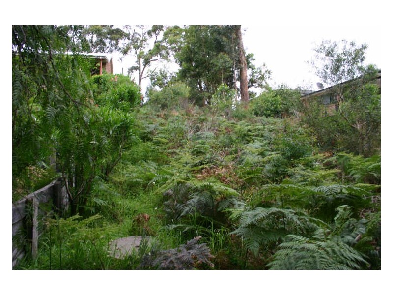 53 Ray Street, Sussex Inlet NSW 2540