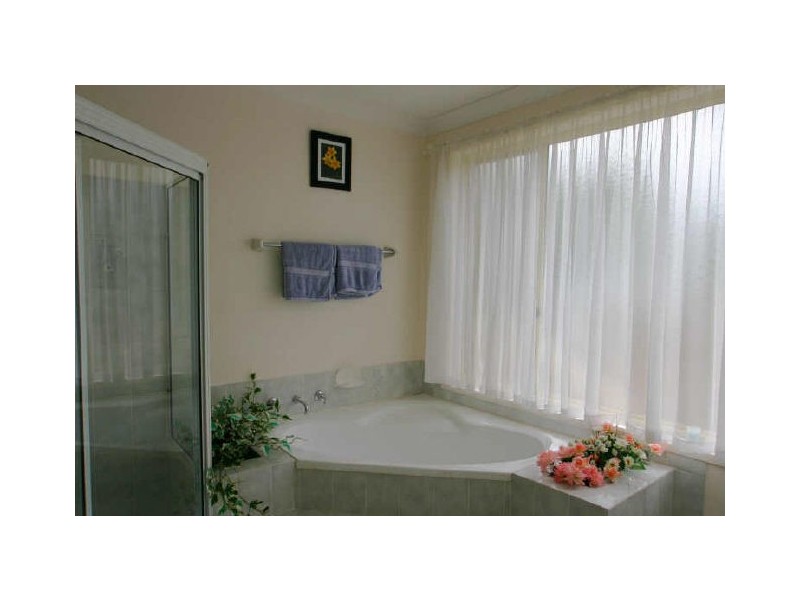41 Sussex Inlet Road, Sussex Inlet NSW 2540