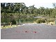 276 River Road, Sussex Inlet NSW 2540