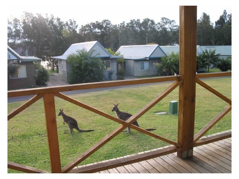 Chalet 13 Berrara Road, Berrara NSW 2540