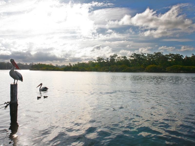 6/187D Jacobs Drive, Sussex Inlet NSW 2540