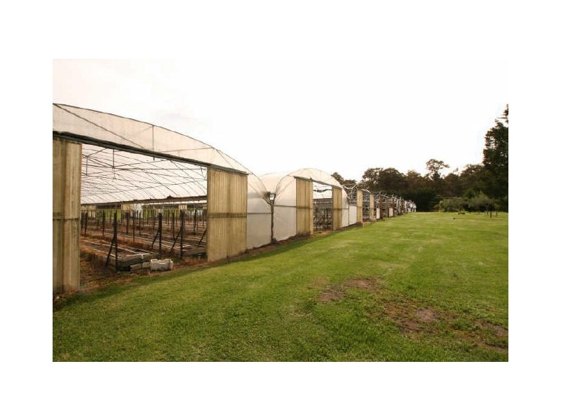64 Watt Road, Falls Creek NSW 2540