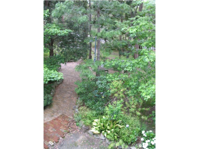 305 Sussex Inlet Road, Sussex Inlet NSW 2540