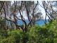 116 Collier Drive, Berrara NSW 2540