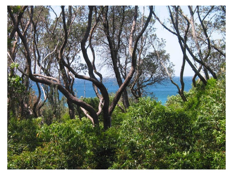116 Collier Drive, Berrara NSW 2540