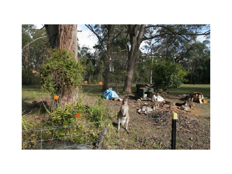 73 Suncrest Avenue, Sussex Inlet NSW 2540