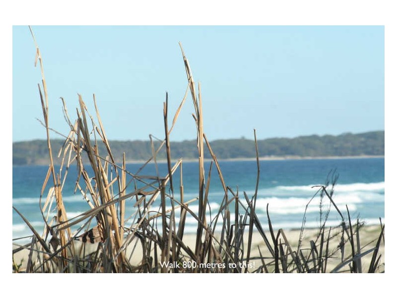 19 Lakeway Avenue, Berrara NSW 2540