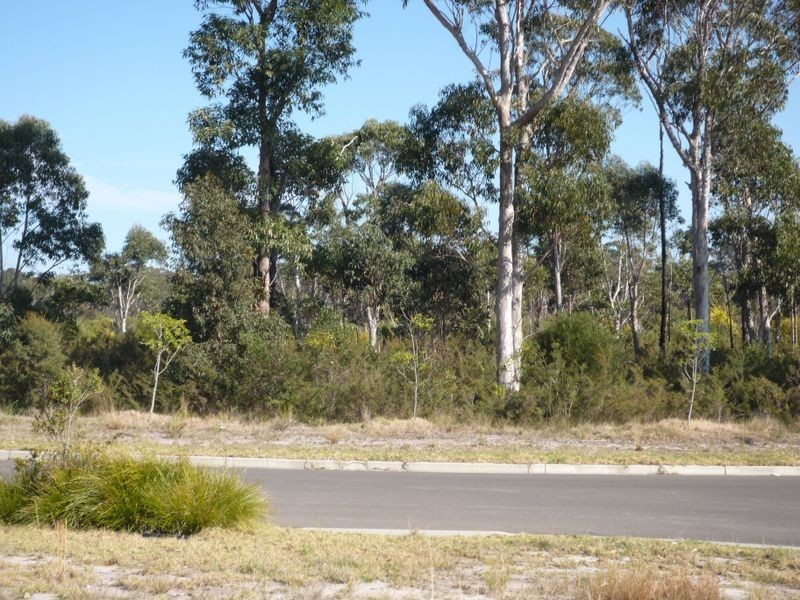 18 Seaberry Street, Sussex Inlet NSW 2540