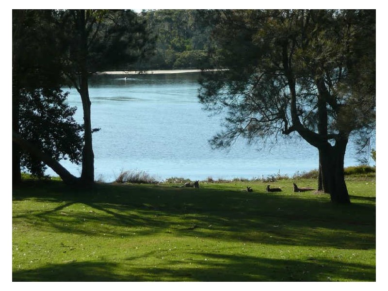 136 River Road, Sussex Inlet NSW 2540
