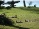 136 River Road, Sussex Inlet NSW 2540