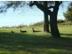 136 River Road, Sussex Inlet NSW 2540