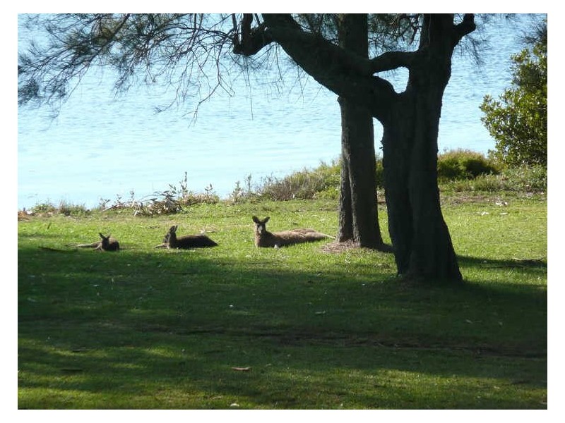 136 River Road, Sussex Inlet NSW 2540