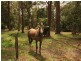917 Sussex Inlet Road, Sussex Inlet NSW 2540