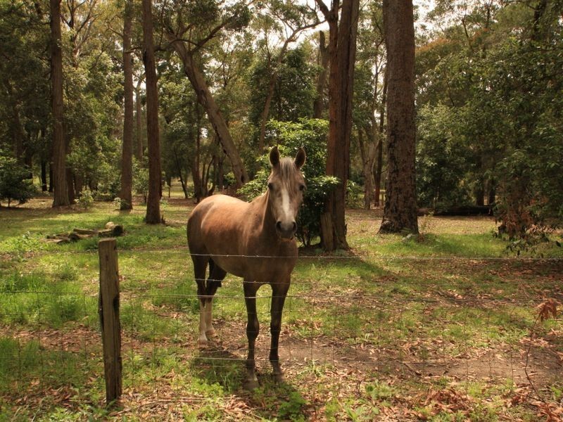 917 Sussex Inlet Road, Sussex Inlet NSW 2540