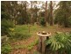 917 Sussex Inlet Road, Sussex Inlet NSW 2540