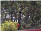 31 Lake Drive, Swanhaven NSW 2540