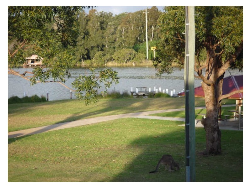 9/187D Jacobs Drive, Sussex Inlet NSW 2540