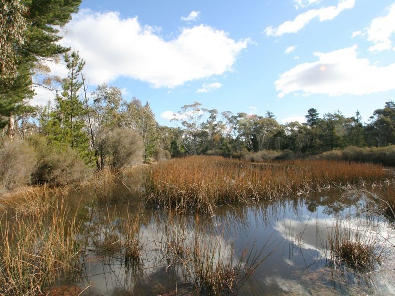 Lot 33 Braidwood Rd, Nerriga NSW 2622