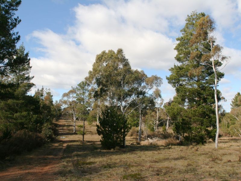 Lot 33 Braidwood Rd, Nerriga NSW 2622