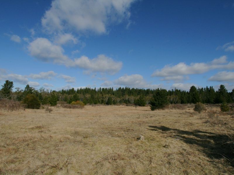 Lot 33 Braidwood Rd, Nerriga NSW 2622