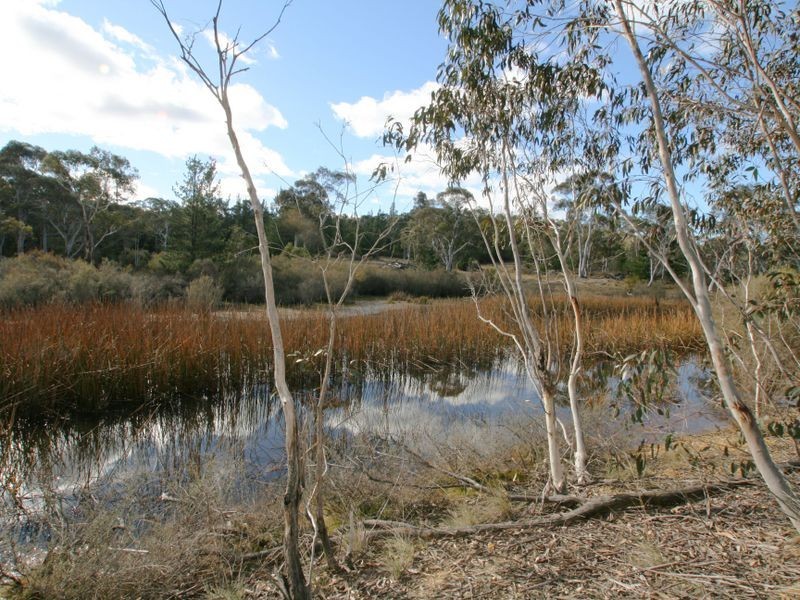 Lot 33 Braidwood Rd, Nerriga NSW 2622