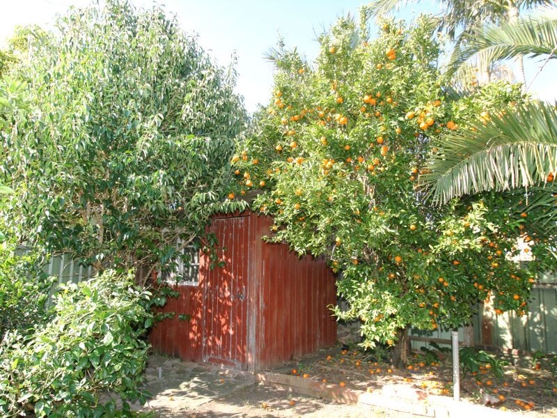 77 Albert Street, Nowra NSW 2541