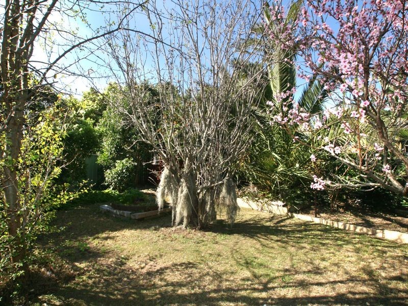 77 Albert Street, Nowra NSW 2541