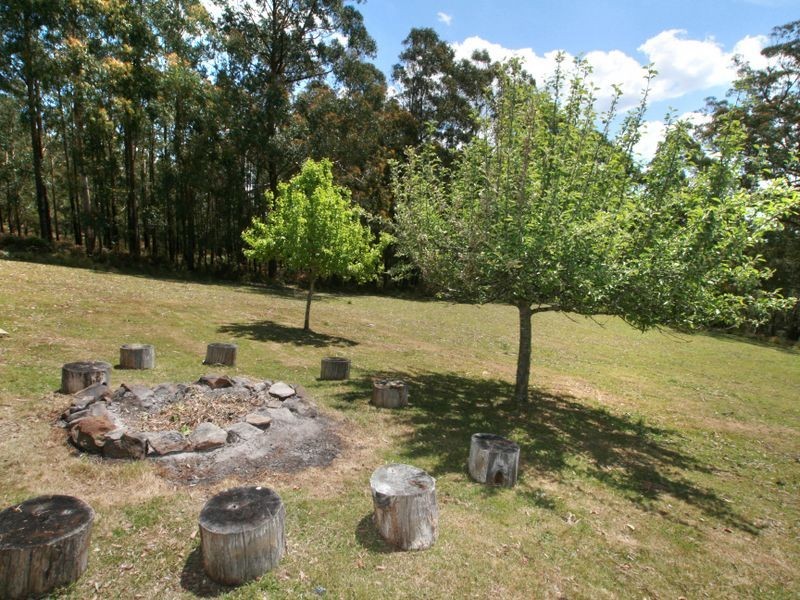 48 Sturgiss Rd, Sassafras NSW 2622