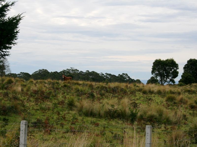 Lot 25 Braidwood Rd, Sassafras NSW 2622