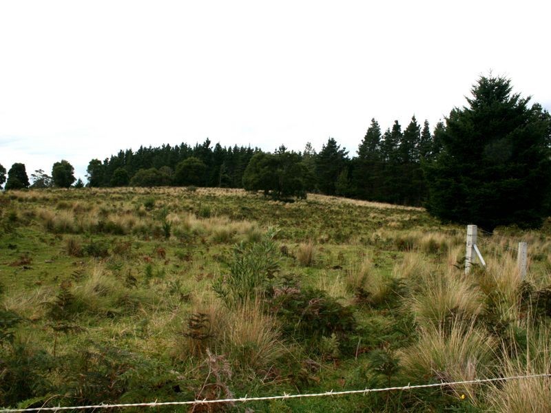 Lot 25 Braidwood Rd, Sassafras NSW 2622