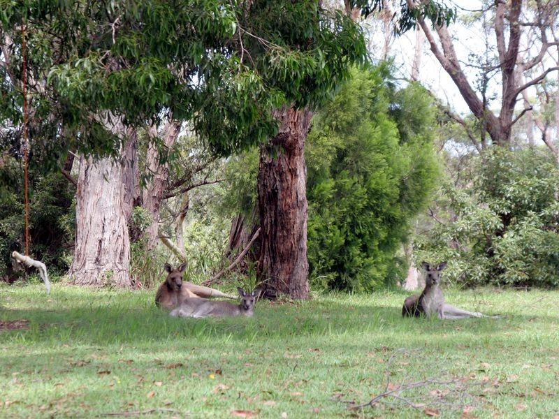 6 Ethel Avenue, Sussex Inlet NSW 2540