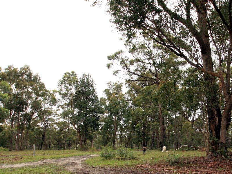 22 Golfcourse Way, Sussex Inlet NSW 2540