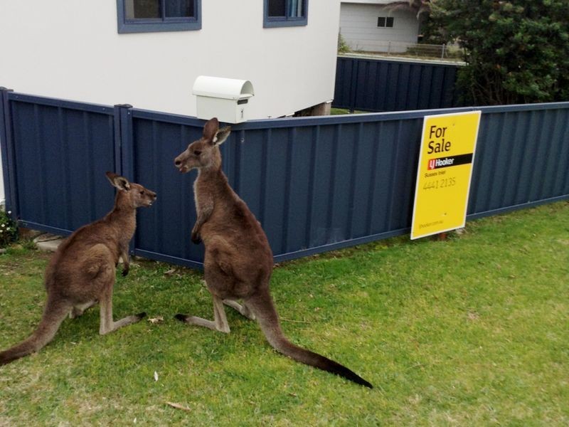 1 Pope Avenue, Berrara NSW 2540