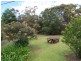 395 Sussex Inlet Road, Sussex Inlet NSW 2540