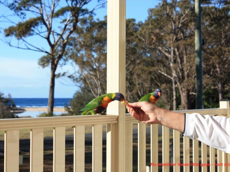 7 Koolyn Drive, Cudmirrah NSW 2540