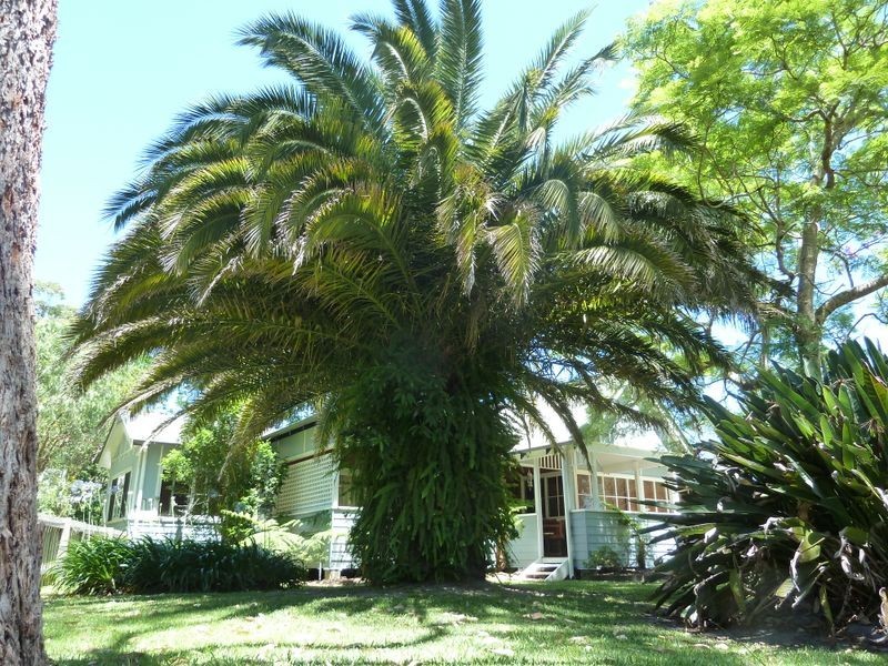 187A Jacobs Drive, Sussex Inlet NSW 2540