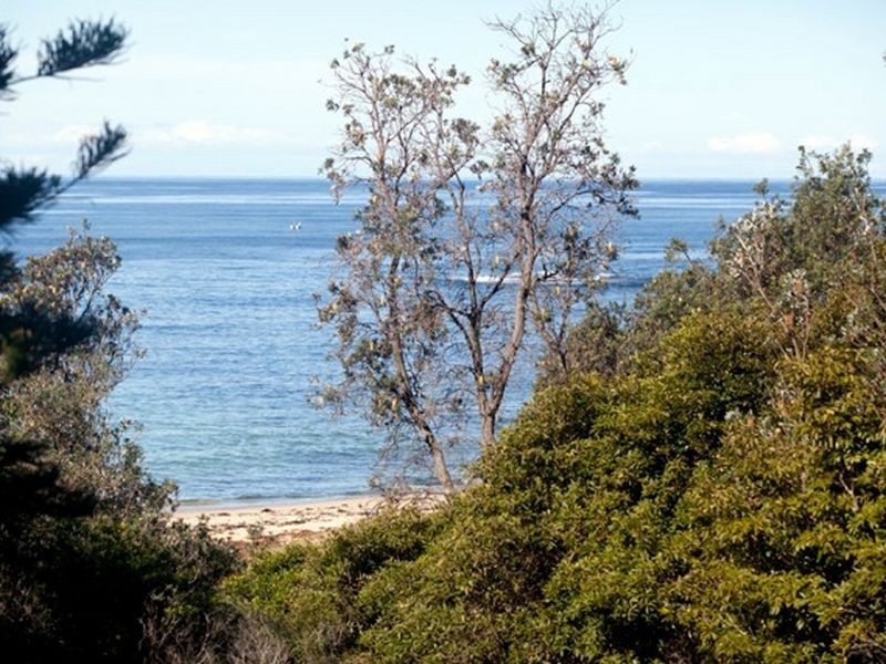 120 Collier Drive, Berrara NSW 2540