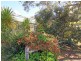 15 Cudmirrah Avenue, Cudmirrah NSW 2540
